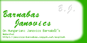 barnabas janovics business card